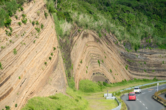 大島 地層大切断面 バウムクーヘン