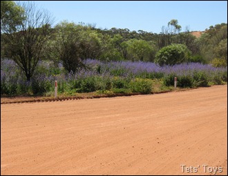 IMG_8578 IMG_8578