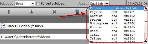 choose subtitles and audio tracks