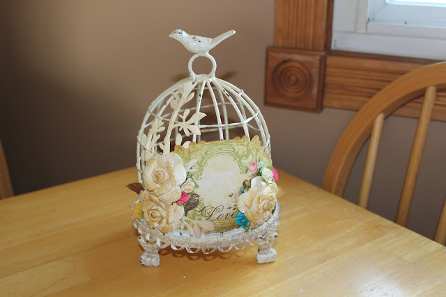 Pics Of Bird Cages