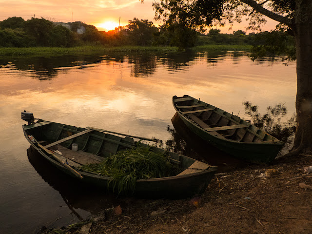 Formosa Isla de Oro Curí y los Carpinchos