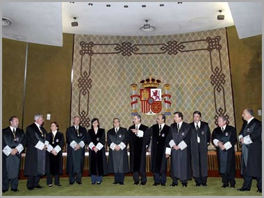 el alto tribunal constitucional