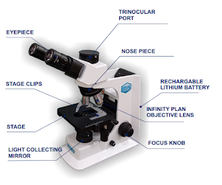 Jual Mikroskop Cahaya