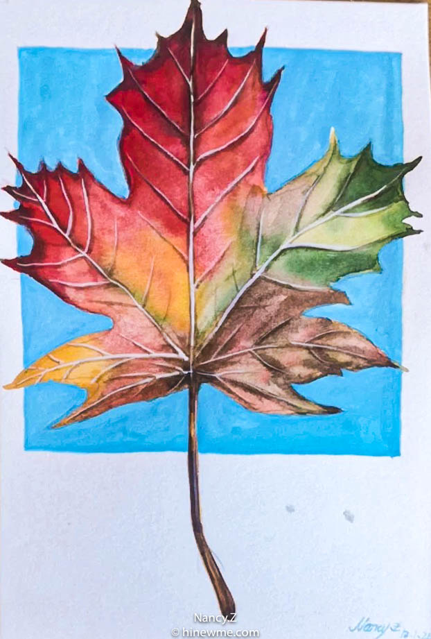 2How to draw an autumn maple leaf step by step tutorial, come to see my online web class