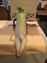 自分の写真