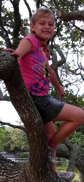 tree climbing