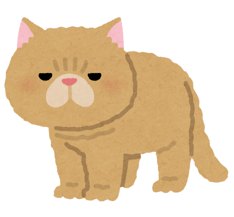 エキゾチックショートヘアのイラスト 猫 かわいいフリー素材集 いらすとや エキゾチックショートヘアのイラスト 猫 かわいいフリー素材集 いらすとや