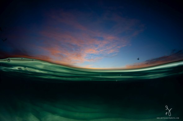 Matty Smith fotografia natureza na linha d'água over-under vida marinha luz