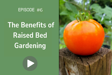 Season 1, Episode 6: The Benefits of Raised Bed Gardening