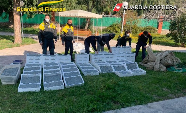 Manfredonia: Guardia Costiera e Guardia di Finanza sequestrano 6 quintali di novellame sarda