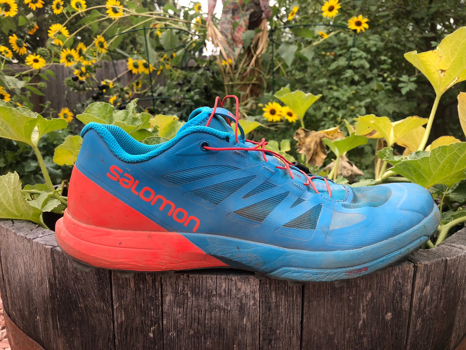 Road Trail Run Salomon Sense Pro 3 Review