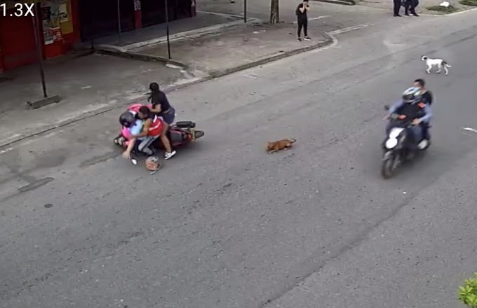 Cuatro personas (dos sin casco) cayeron de una motocicleta cuando un perro se les atravesó en Villavicencio 