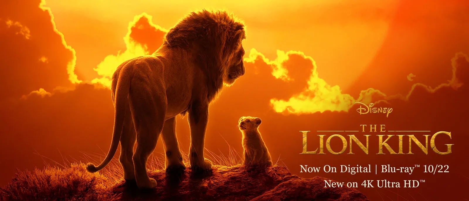 Download Film The Lion King 2019 Bluray 480p 720p 1080p