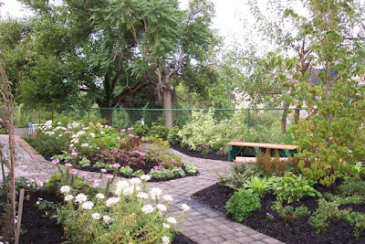 Grassroots Healing Garden: The Serenity Garden at Transitional Housing, Inc. « Therapeutic ... on Therapeutic Landscape Design
 id=88771