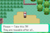 Pokemon Spirit Emerald Screenshot 12