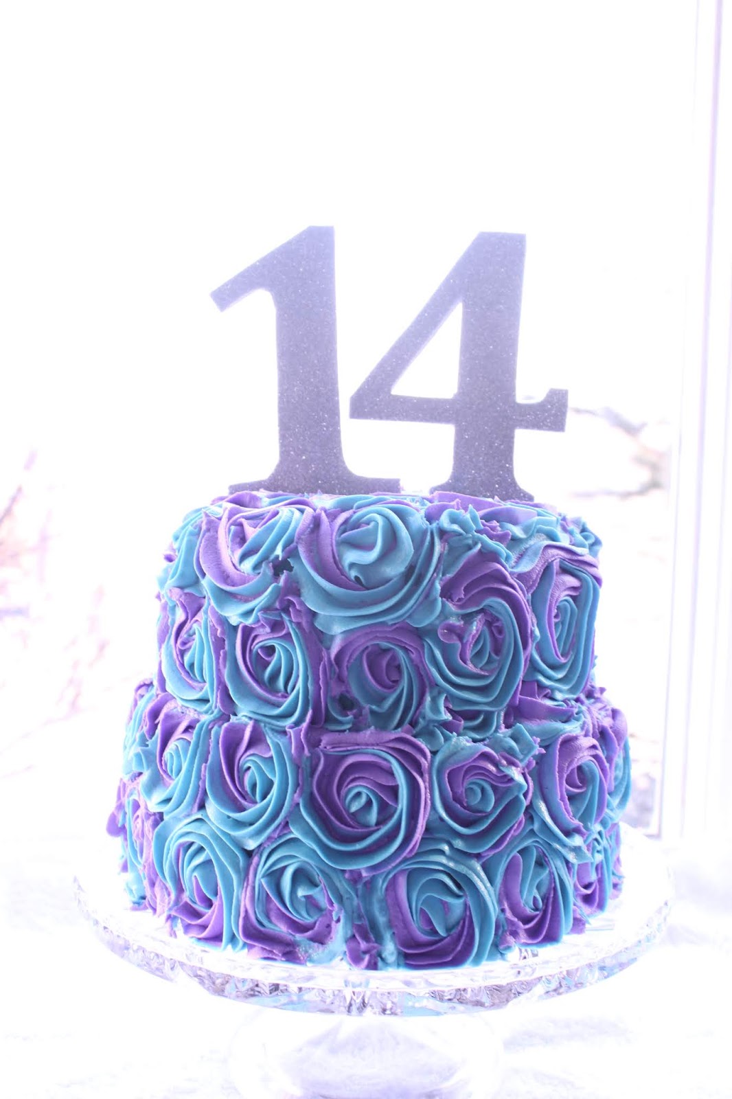 These are a few of my favorite things: Girls 14th birthday cake ideas - IMG 0078