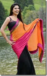 Actress Nayanthara in Greeku Veerudu Latest Stills