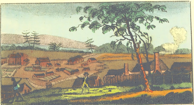 East View of Sydney by V. Woodthorpe Published by M. Jones, Paternoster Row, Feb.1803