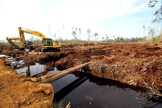 Simpak Beliung Ketidakadilan Ekonomi Masyarakat Perbatasan Kalimantan