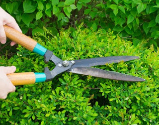 Gardening Services in QLD