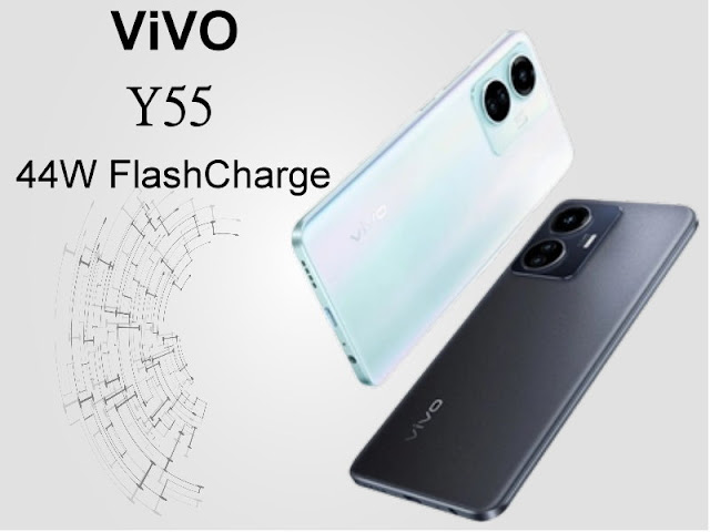 The Vivo Y55 Has Been Released In Pakistan, Ensuring Sharp Photography And Superior Performance