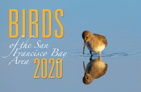 Bords of the San Francisco Bay Area 2020 Calendar - cover showing a shorebird