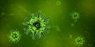 Jenis-jenis virus yang menyerang tubuh manusia