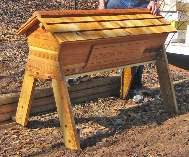  Water Plant Seeds: Low cost, Pesticide free Sustainable Beekeeping