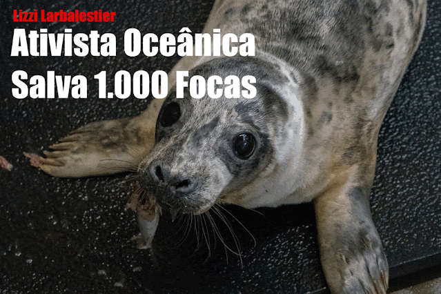 SealsCryToo® - Ativista Oceânica Salva 1.000 Focas - Lizzi Larbalestier