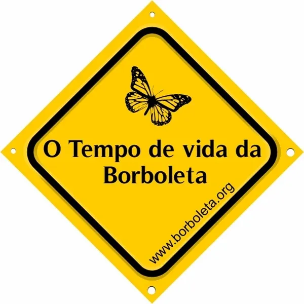 o tempo de vida da borboleta