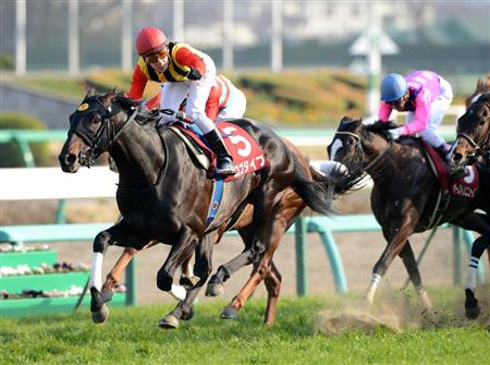 Il bello della domenica: Cristian vince il trial per le Ghinee con Logotype. Akeed Mofeed ottimo nel HK Derby, Umbertino non ha montato. Il resto italiano...