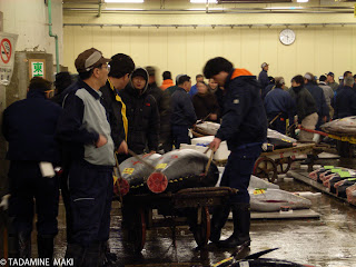 Tsukiji fish market, Tokyo