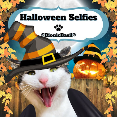 Halloween Selfies ©BionicBasil ®