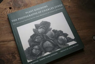 Plant Kingdoms the photographs of Charles Jones