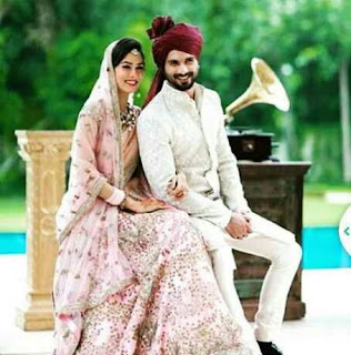 Shahid Kapoor and Mira Rajput's honeymoon destination 