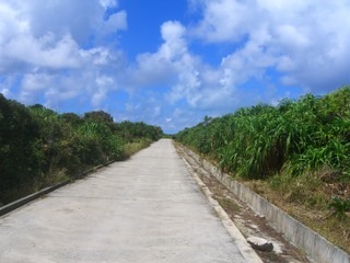 CIMG6187
