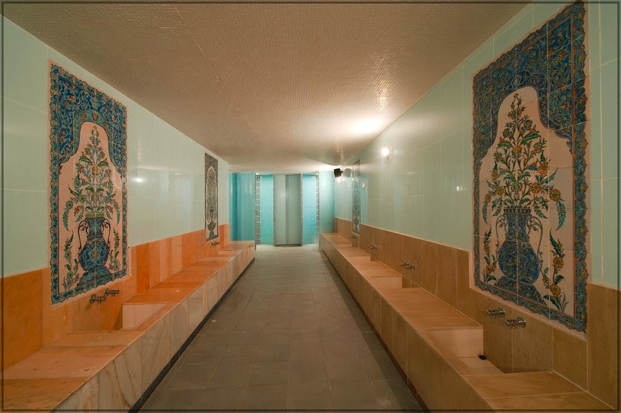 SAUNA LOVINA SPA  SAUNA HAMMAM BRUXELLES 