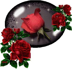 rosa070