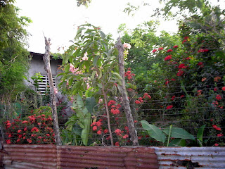 house, El Porvenir, Honduras