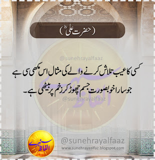 Hazrat Ali Quotes in Urdu