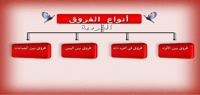 ماهي الفروق الفردية