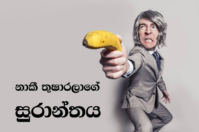 නාකී තුෂාරලාගේ සුරාන්තය.