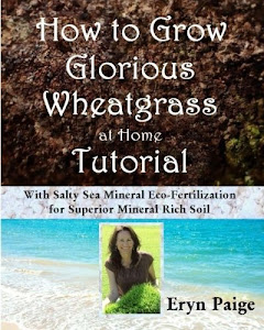 How to Grow Glorious Wheatgrass at Home Tutorial: With Salty Sea Mineral Eco-Fertilization for Superior Mineral Rich Soil