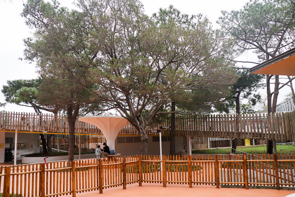 新竹市立動物園藏隱在市區小而美的森林動物園，有老虎河馬熊猴子