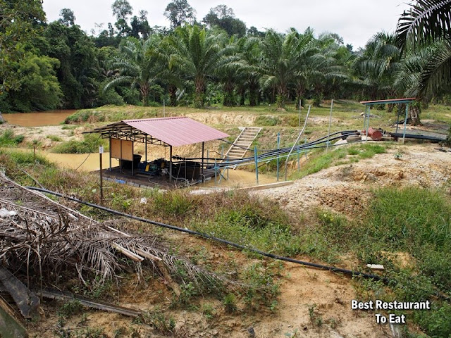 Water Pump Station at Durian Wonderland 