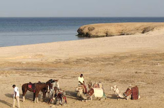 Marsa Alam Safari Excursions 