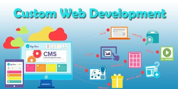 Customize Website Application in India