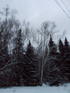 this is a photo of winter in Canada that was taken December 2007