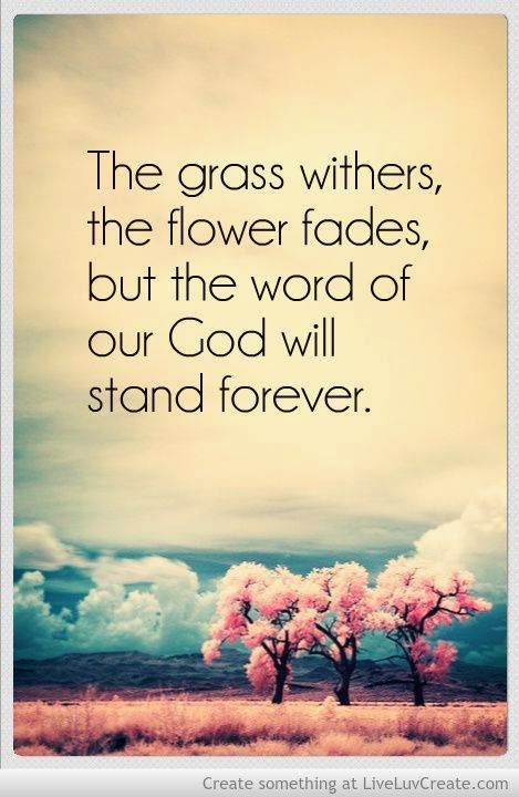 The Grass Withers, The flower fades, but the word of our God will stand