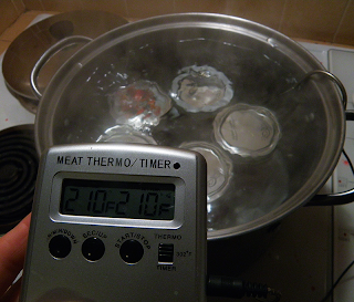 Water Bath with Digital Thermometer Readout at 210 degrees